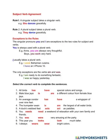 Subject Verb Agreement