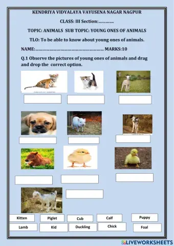 Animals and their young ones