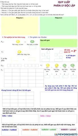 Quy luật phân ly độc lập