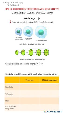 Sự lớn lên của TB