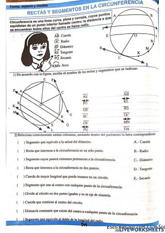 Rectas y segmentos en la circunferencia