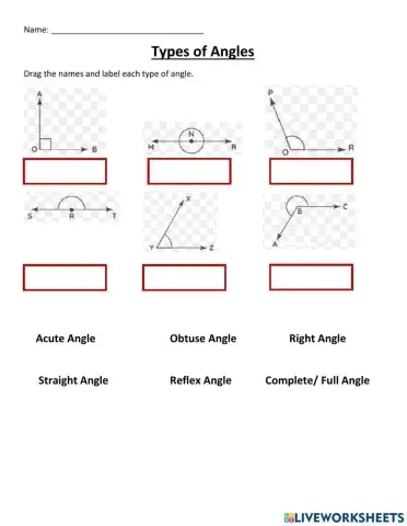 Types of Angles