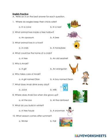 Questions with what, who, where