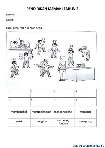 Pendidikan jasmani tahun 2