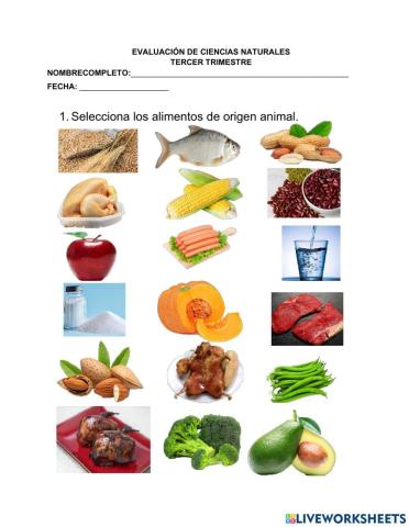 Clasificación de los alimentos