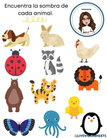 Encuentra la sombra de los animales
