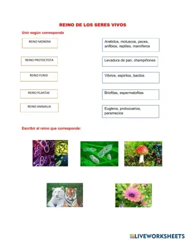 El reino de los seres vivos