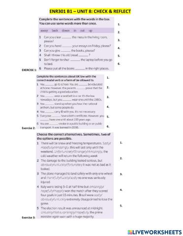 B1 - UNIT 8 - CHECK AND REFLECT