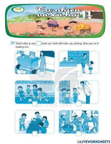 Phiếu TNXH bài 9: Ôn tập