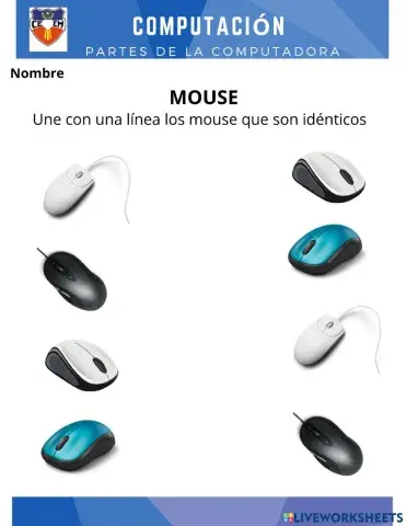 Mouse