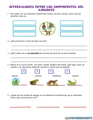 Interacción entre los componentes de la naturaleza