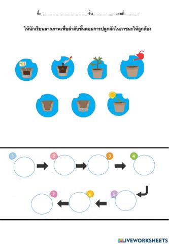 งานเกษตร