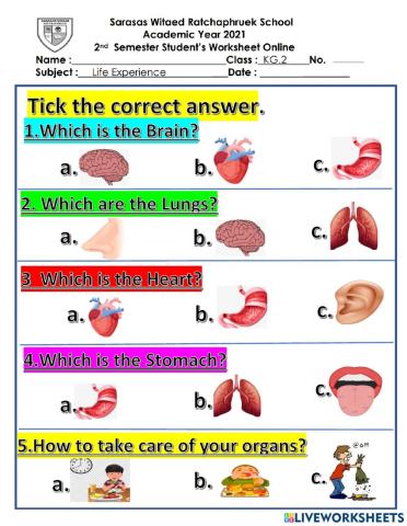 Organs and senses