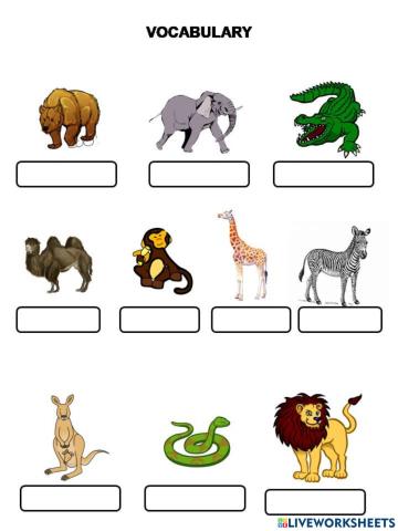 Vocabulario animales