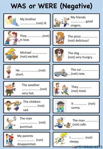 Was - were negative and interrogative