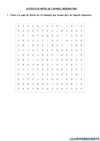 L'aparell respiratori