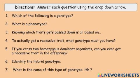 Punnett Square vocabulary