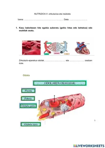 Nutrizioa 2 ariketak