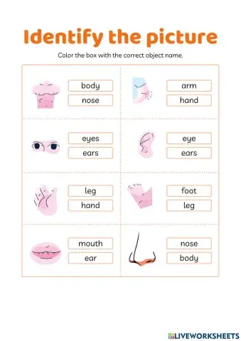 Everybody up starter - unit 8 (1)