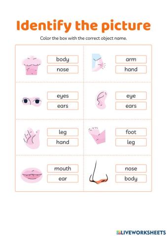 Everybody up starter - unit 8 (1)