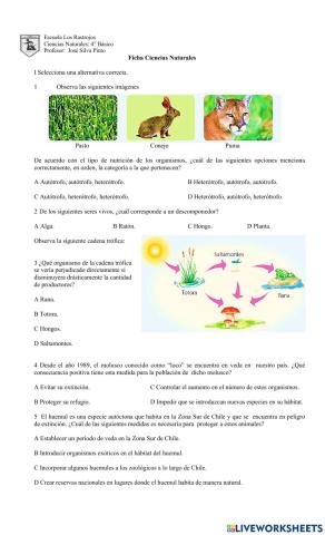 Ficha Cadena Alimentaria y Alteraciones Ecosistema