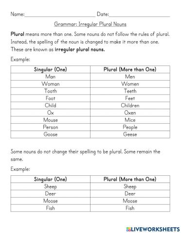 Irregular Plural Nouns Notes