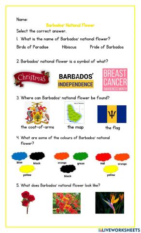 Barbados' National Flower