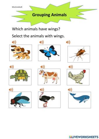 Grouping animals