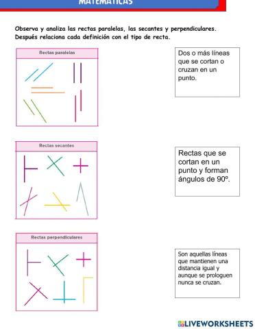 Tipos de líneas