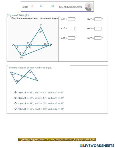 Angles of Triangles