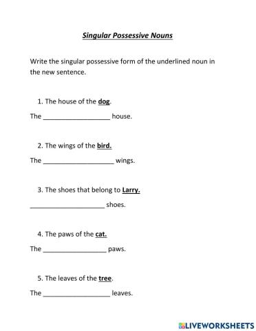 Singular Possessive Nouns