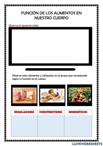 Funcion de los alimentos