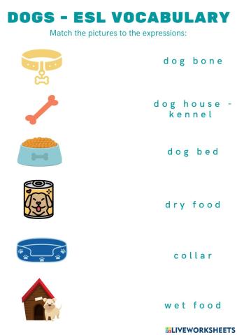 Dogs - vocabulary