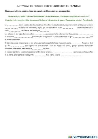 Nutrición en plantas (repaso simple)