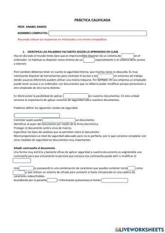 Seguridad en el documento