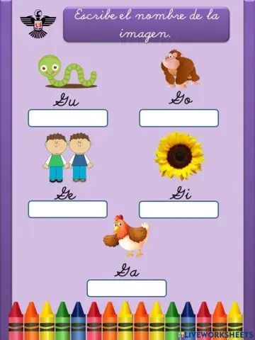 Escribe el nombre de la imagen.