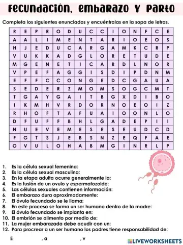 Fecundación, embarazo y parto