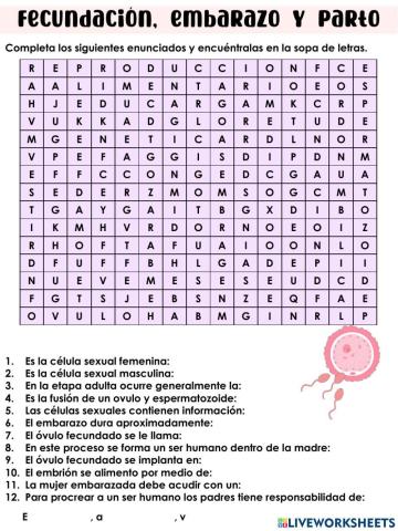 Fecundación, embarazo y parto