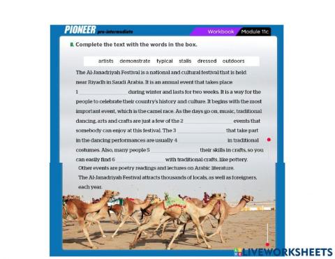 Pionner intermediate workbook 11c