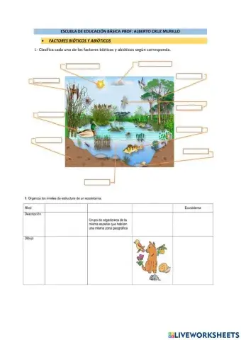Factores bioticos y abioticos
