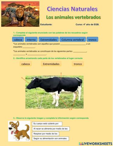 Animales vertebrados