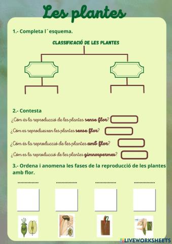 Les plantes