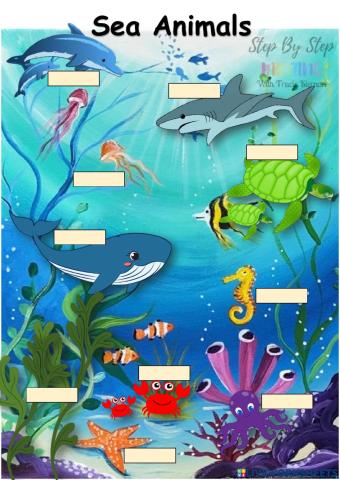 Sea Animals