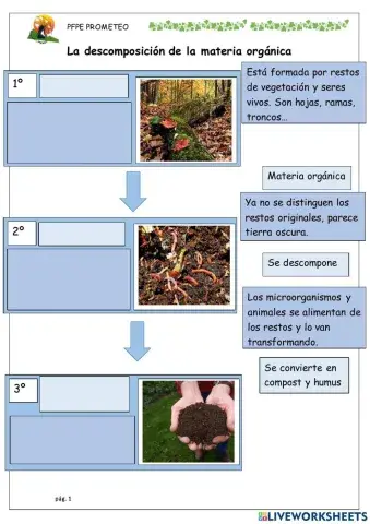 Descomposición materia orgánica