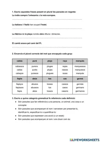 Pova llengües 1r trim