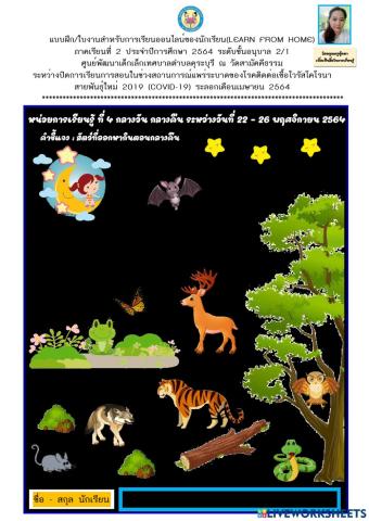 กลางวัน กลางคืน