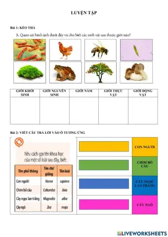 Ôn tập phân loại đọc tên