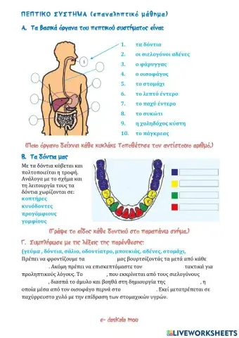Φυσική Ε΄- Πεπτικό - επανάληψη