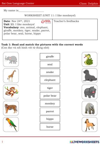 Homework-class Dolphin (Nov 24th)