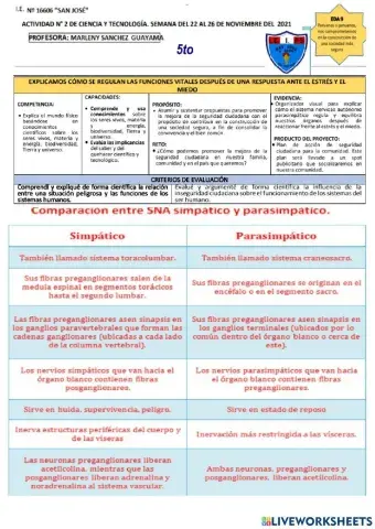 Explicamos como se regulan las funciones vitales despues de una respuesta ante el estrés y el miedo